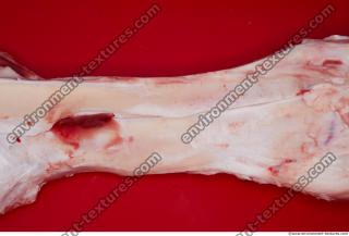 RAW bone beef 0083